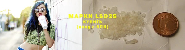 MESCALINE Покачи