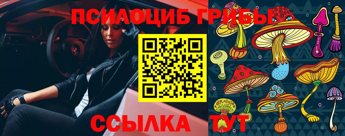 Самара  Галлюциногенные грибы Cubensis  Вход с VPN 
